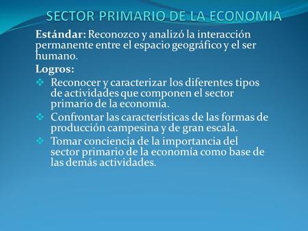 SECTOR PRIMARIO DE LA ECONOMIA