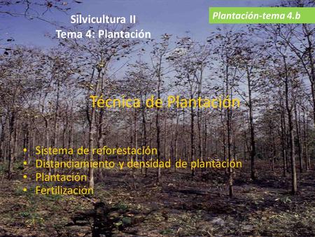 Silvicultura II Tema 4: Plantación
