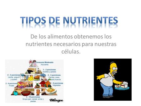 Tipos de nutrientes De los alimentos obtenemos los nutrientes necesarios para nuestras células.