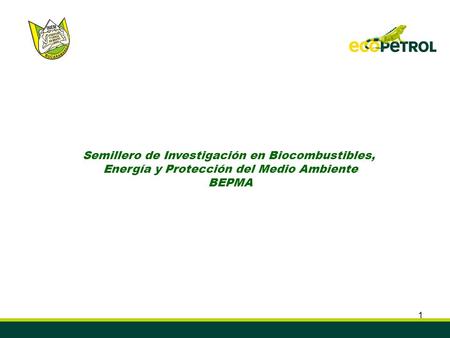 Semillero de Investigación en Biocombustibles,