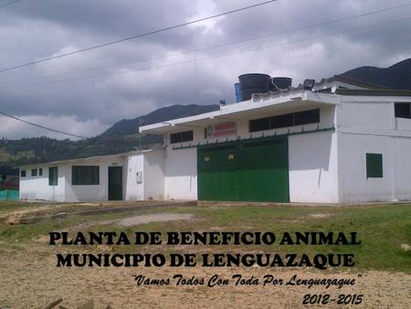 PLANTA DE BENEFICIO ANIMAL MUNICIPIO DE LENGUAZAQUE