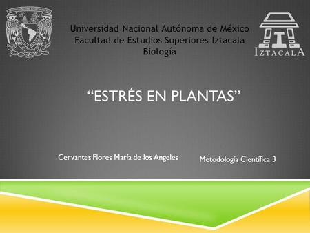 “ESTRÉS EN PLANTAS” Universidad Nacional Autónoma de México