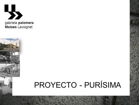 Gabriela palomera Moises Lavoignet PROYECTO - PURÍSIMA.
