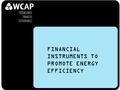 FINANCIAL INSTRUMENTS TO PROMOTE ENERGY EFFICIENCY.