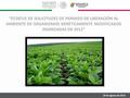 “ESTATUS DE SOLICITUDES DE PERMISO DE LIBERACIÓN AL AMBIENTE DE ORGANISMOS GENÉTICAMENTE MODIFICADOS INGRESADAS EN 2012” 26 de agosto de 2015.