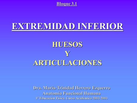 EXTREMIDAD INFERIOR HUESOSYARTICULACIONES Bloque 3.1 Dra. María-Trinidad Herrero Ezquerro Anatomía Funcional Humana 1º Educación Física. Curso Académico.