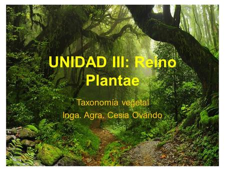 UNIDAD III: Reino Plantae