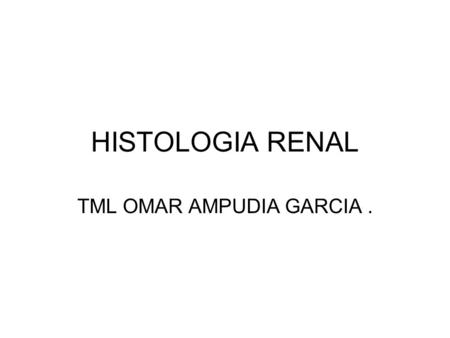 HISTOLOGIA RENAL 
