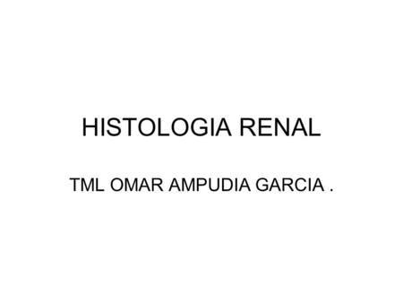 HISTOLOGIA RENAL 