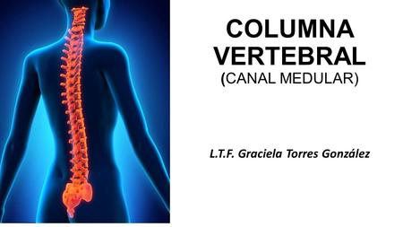 COLUMNA VERTEBRAL (CANAL MEDULAR)