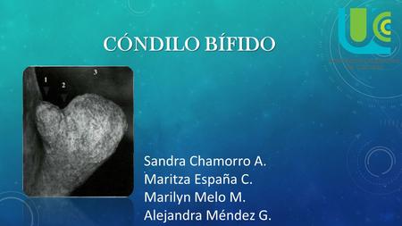 CÓNDILO BÍFIDO. Sandra Chamorro A. Maritza España C. Marilyn Melo M. Alejandra Méndez G.