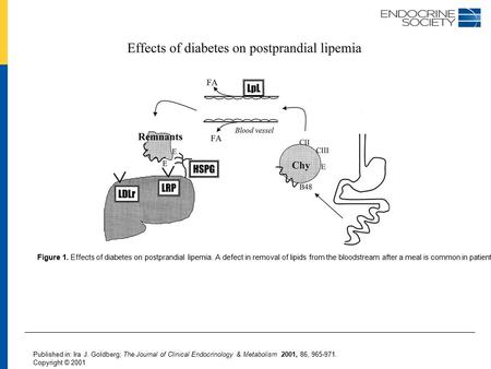 Figure 1. Effects of diabetes on postprandial lipemia. A defect in removal of lipids from the bloodstream after a meal is common in patients with diabetes.