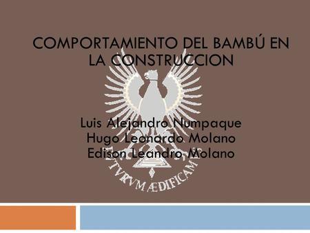 COMPORTAMIENTO DEL BAMBÚ EN LA CONSTRUCCION Luis Alejandro Numpaque Hugo Leonardo Molano Edison Leandro Molano.