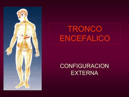 CONFIGURACION EXTERNA