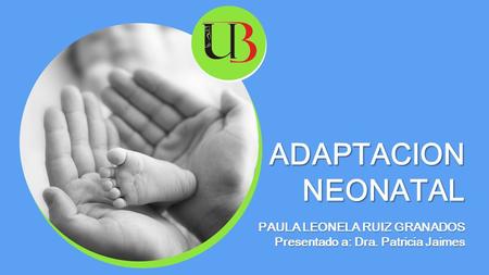 PAULA LEONELA RUIZ GRANADOS Presentado a: Dra. Patricia Jaimes ADAPTACION NEONATAL.