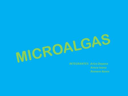 MICROALGAS INTEGRANTES: Ariza Dayana Aroca Ivana Romero Karen.