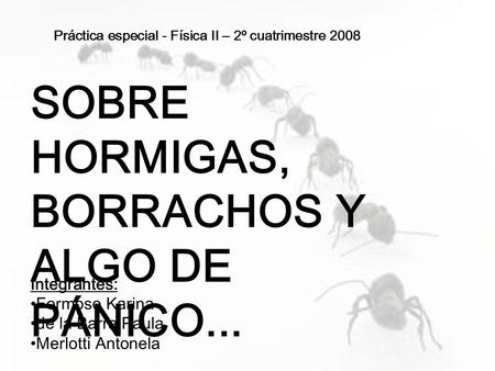 SOBRE HORMIGAS, BORRACHOS Y ALGO DE PÁNICO... Integrantes: Formoso Karina de la Barra Paula Merlotti Antonela Práctica especial - Física II – 2º cuatrimestre.