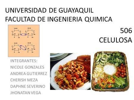 UNIVERSIDAD DE GUAYAQUIL FACULTAD DE INGENIERIA QUIMICA INTEGRANTES: NICOLE GONZALES ANDREA GUTIERREZ CHERISH MEZA DAPHNE SEVERINO JHONATAN VEGA 506 CELULOSA.