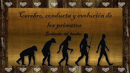 Cerebro, conducta y evolución de los primates. Evolución del hombre.