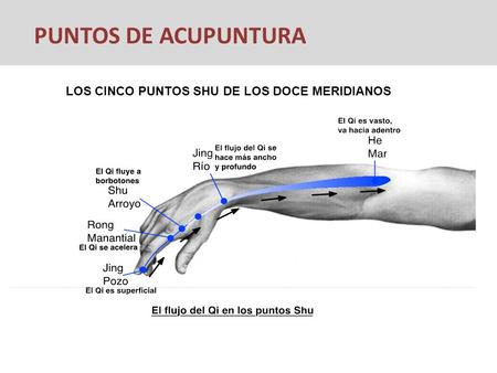 PUNTOS DE ACUPUNTURA LOS CINCO PUNTOS SHU DE LOS DOCE MERIDIANOS.