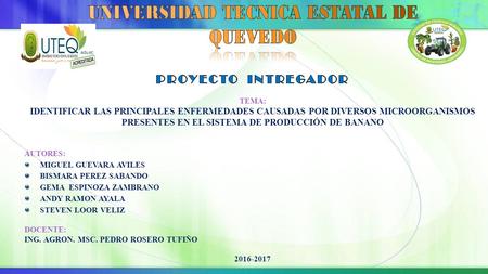 Monitorear la incidencia de plagas teniendo en cuenta el tipo de cultivo y suelo donde se desarrolla con el propósito de disminuir las pérdidas en los.