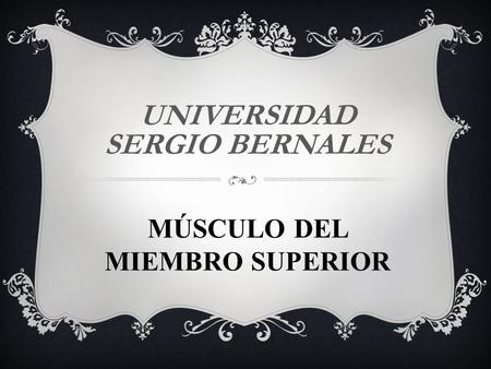 UNIVERSIDAD SERGIO BERNALES