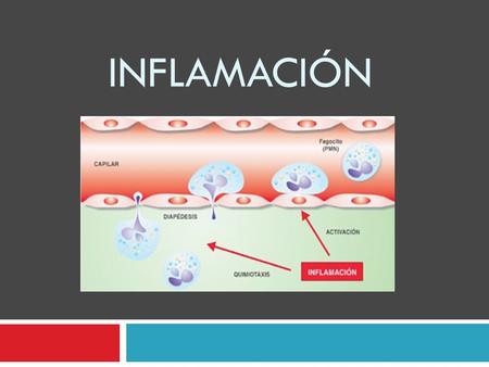 INFLAMACIÓN.  Es un proceso complejo, que se presenta como respuesta tanto a infecciones como a una diversidad de estímulos generadores de lesión tisular.