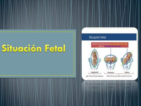 Son un conjunto de pasos bimanuales que nos ayudan a valorar la estática fetal ( situación, presentación y actitud) Estas maniobras se comienzan.