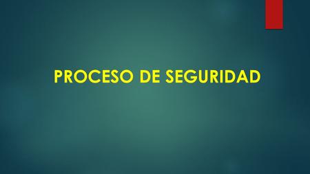 PROCESO DE SEGURIDAD. El Proceso de Seguridad  asegura el carácter reservado del proceso y la obligatoriedad de que el imputado se someta a pericia especializada;