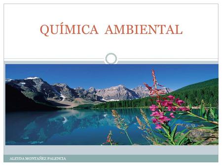 QUÍMICA AMBIENTAL ALEYDA MONTAÑEZ PALENCIA. La QUÍMICA AMBIENTAL, es la aplicación de la química al estudio de los problemas y la conservación del ambiente.