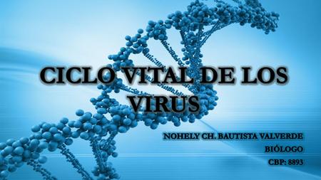 CICLOS VITAL DE LOS VIRUS El ciclo vital de los virus se divide en 2 fases:  CICLO LITICO: fase extracelular el virus es inerte desde el punto de vista.