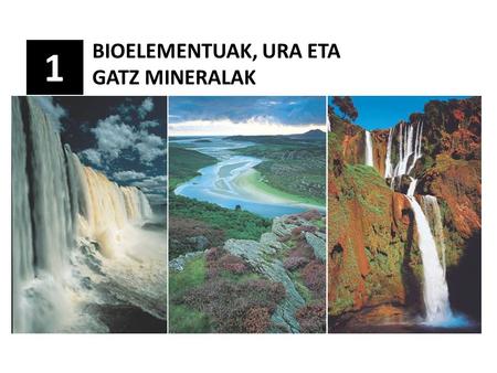 BIOELEMENTUAK, URA ETA GATZ MINERALAK
