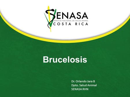 Brucelosis Dr. Orlando Jara B Dpto. Salud Animal SENASA RHN.