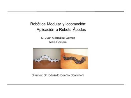 Robótica Modular y locomoción: Aplicación a Robots Ápodos D. Juan González Gómez Tesis Doctoral Director: Dr. Eduardo Boemo Scalvinoni.