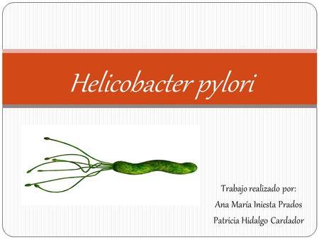Trabajo realizado por: Ana María Iniesta Prados Patricia Hidalgo Cardador Helicobacter pylori.