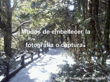 Modos de embellecer la fotografía o captura. Nombre: Trinidad Oñate Pedernera.