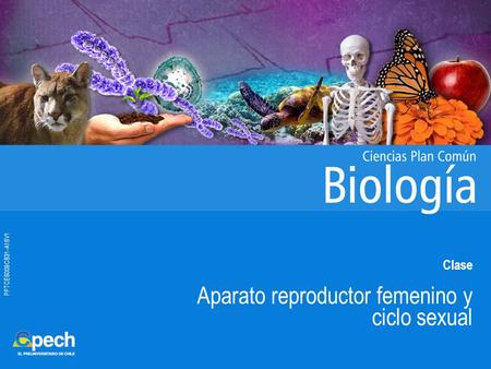 PPTCES009CB31-A16V1 Clase Aparato reproductor femenino y ciclo sexual.