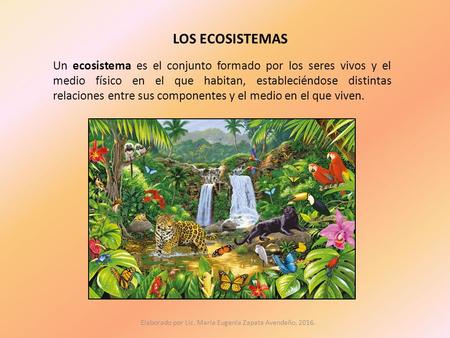 LOS ECOSISTEMAS Un ecosistema es el conjunto formado por los seres vivos y el medio físico en el que habitan, estableciéndose distintas relaciones entre.