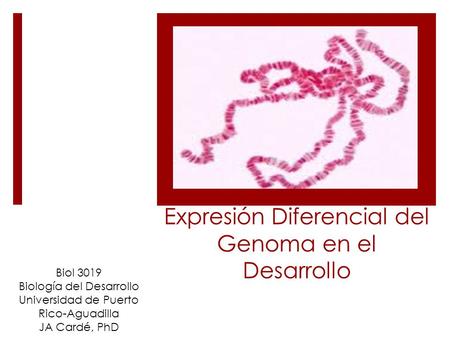 Expresión Diferencial del Genoma en el Desarrollo Biol 3019 Biología del Desarrollo Universidad de Puerto Rico-Aguadilla JA Cardé, PhD.