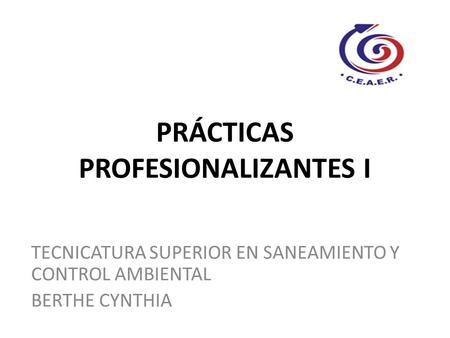PRÁCTICAS PROFESIONALIZANTES I TECNICATURA SUPERIOR EN SANEAMIENTO Y CONTROL AMBIENTAL BERTHE CYNTHIA.