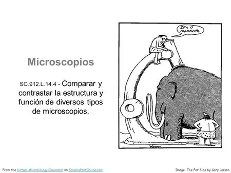 Microscopios SC.912.L.14.4 - Comparar y contrastar la estructura y función de diversos tipos de microscopios. Image: The Far Side by Gary LarsonFrom the.