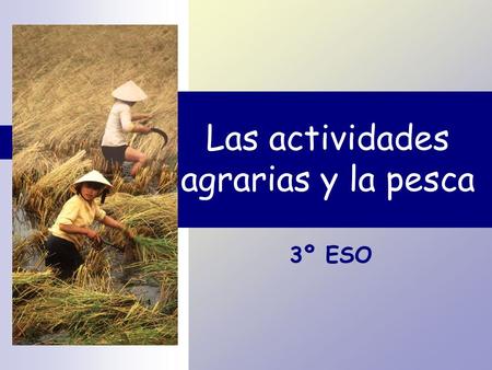 Las actividades agrarias y la pesca 3º ESO. Minería.