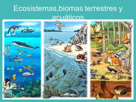 Ecosistemas,biomas terrestres y acuáticos