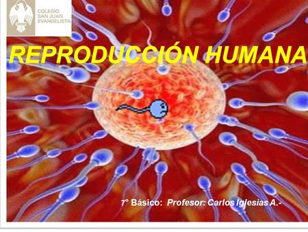 7 ° Básico: Profesor: Carlos Iglesias A.- LA SEXUALIDAD INCLUYE ADEMÁS DE LOS ASPECTOS BIOLÓGICOS DEL SER HUMANO ; OTROS COMO LA AMISTAD, EL AFECTO,