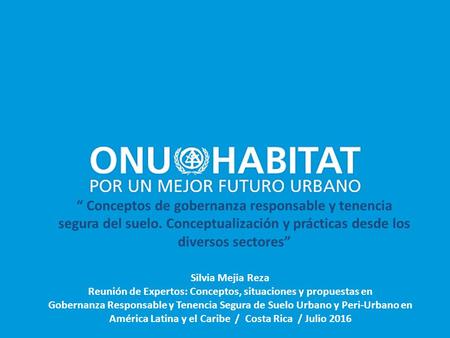 Silvia Mejia Reza Reunión de Expertos: Conceptos, situaciones y propuestas en Gobernanza Responsable y Tenencia Segura de Suelo Urbano y Peri-Urbano en.