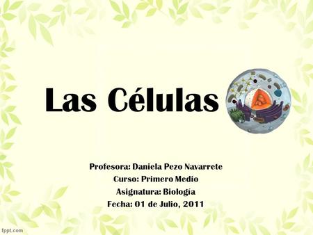 Las Células Profesora: Daniela Pezo Navarrete Curso: Primero Medio Asignatura: Biología Fecha: 01 de Julio, 2011.