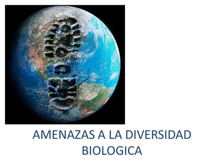 AMENAZAS A LA DIVERSIDAD BIOLOGICA. 1360 cientificos (95 paises) ONU 2005