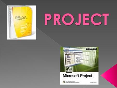  Es un programa de la suite Microsoft Office usado para la gestión de proyectos.  Microsoft Project (o MSP) es un software de administración de proyectos.