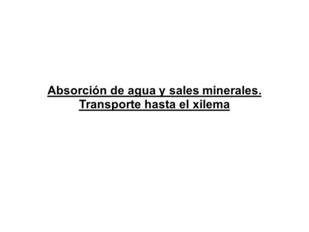 Absorción de agua y sales minerales. Transporte hasta el xilema.