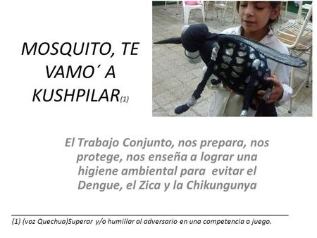 MOSQUITO, TE VAMO´ A KUSHPILAR (1) El Trabajo Conjunto, nos prepara, nos protege, nos enseña a lograr una higiene ambiental para evitar el Dengue, el Zica.
